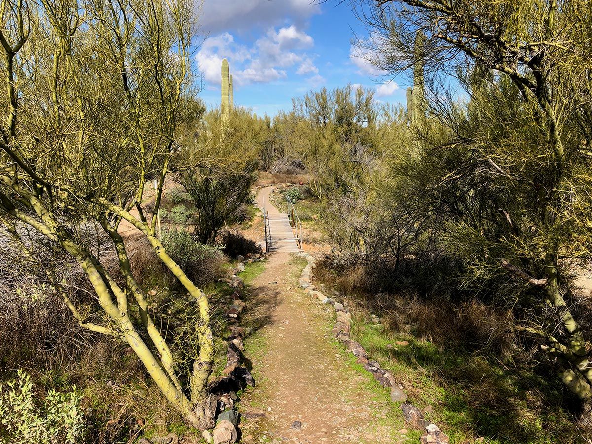 A hiking trail at Shangri La Ranch