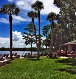 View of a lakeside terrace of a resort with palm trees