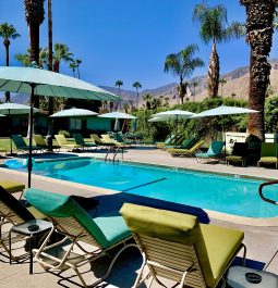 Lounge chairs next to a pool