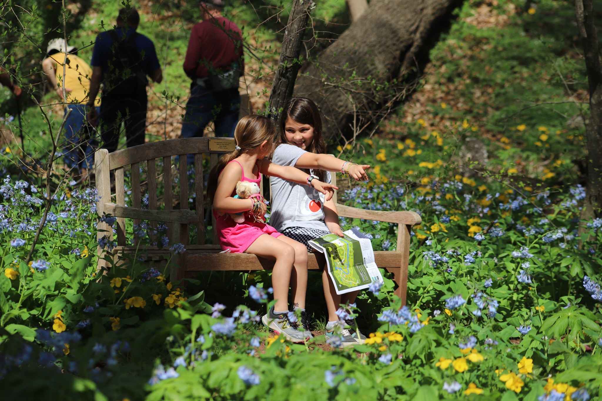 Bowman's Hill Wildflower Preserve