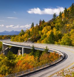 winding road with gold and red hued foliage