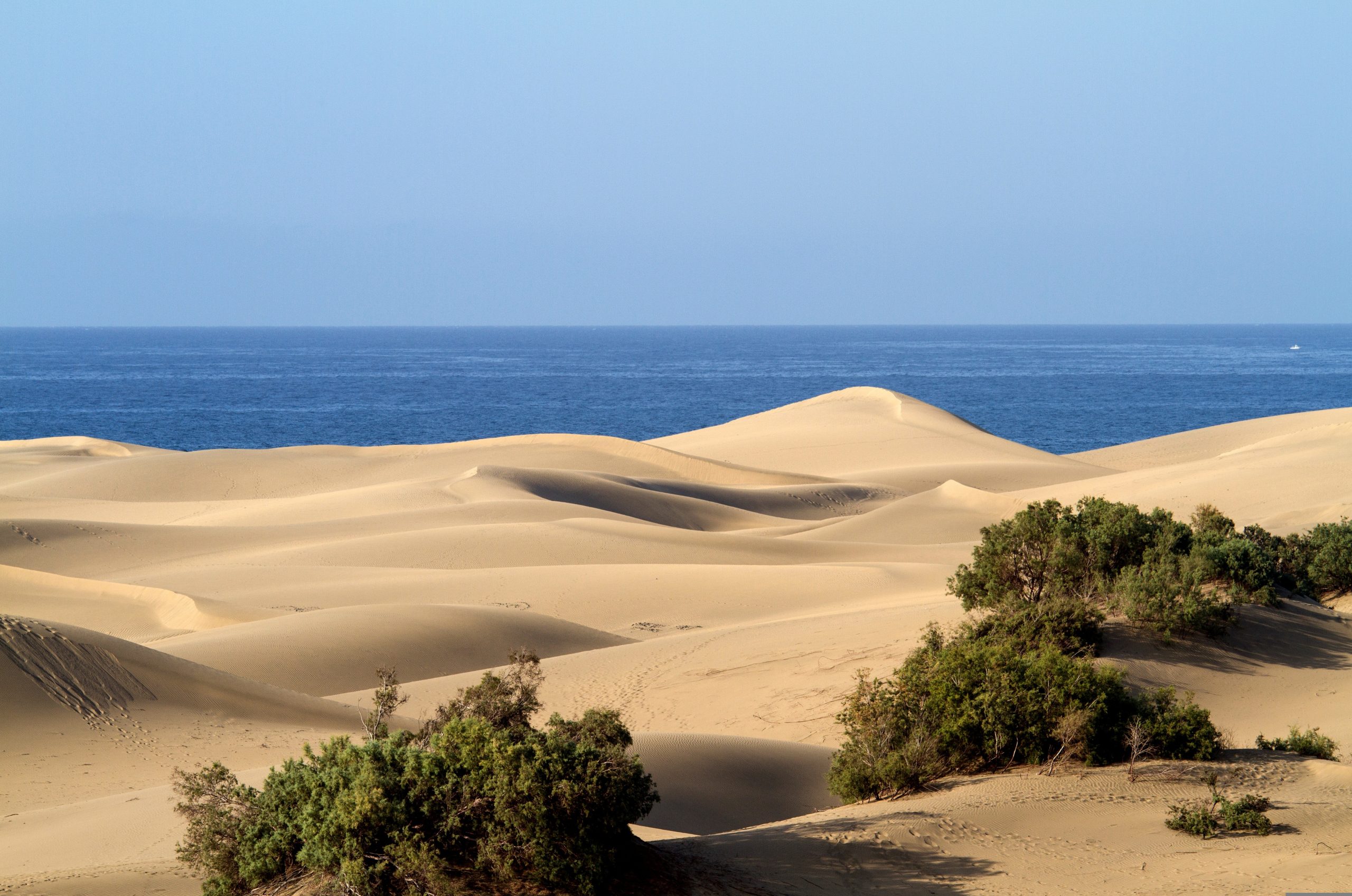 Maspalomas Beach - Gran Canaria