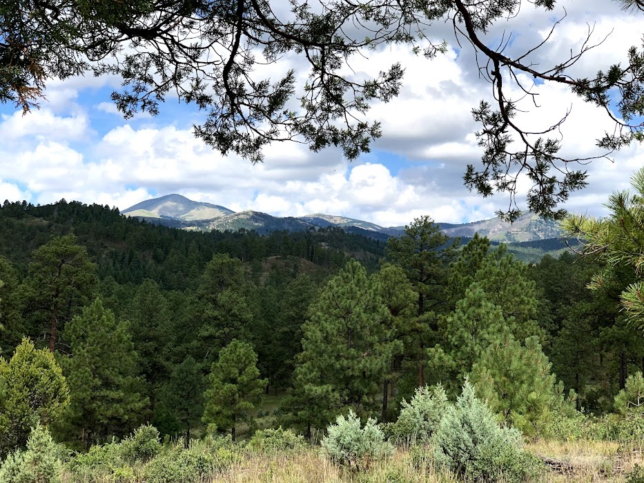 View from a trail in the Lincoln National Forest