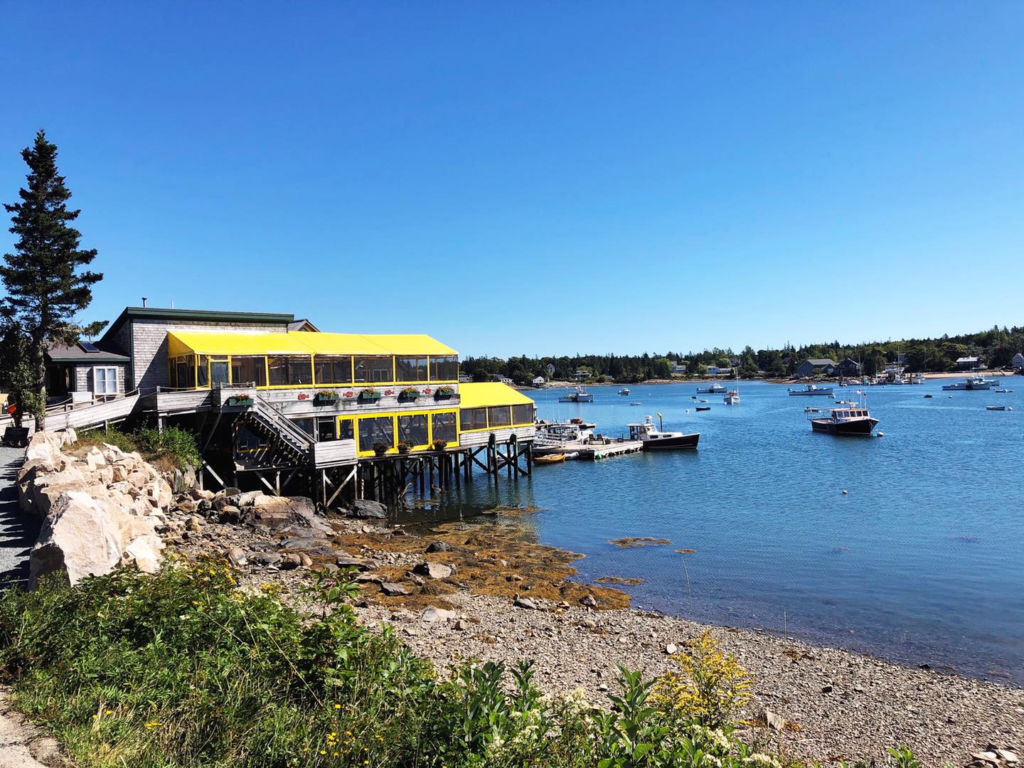 Thurston's Lobster Pound