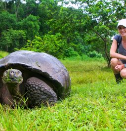 Galapagos giant tortoise