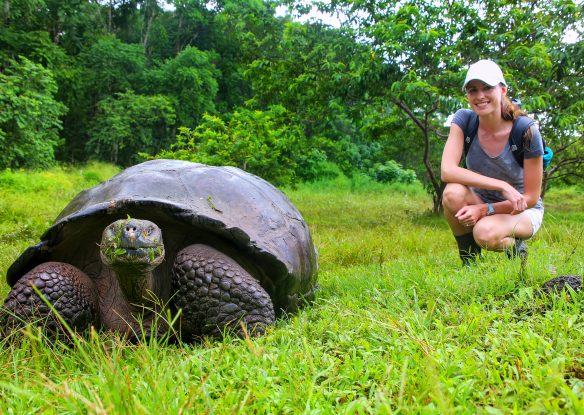 Galapagos giant tortoise