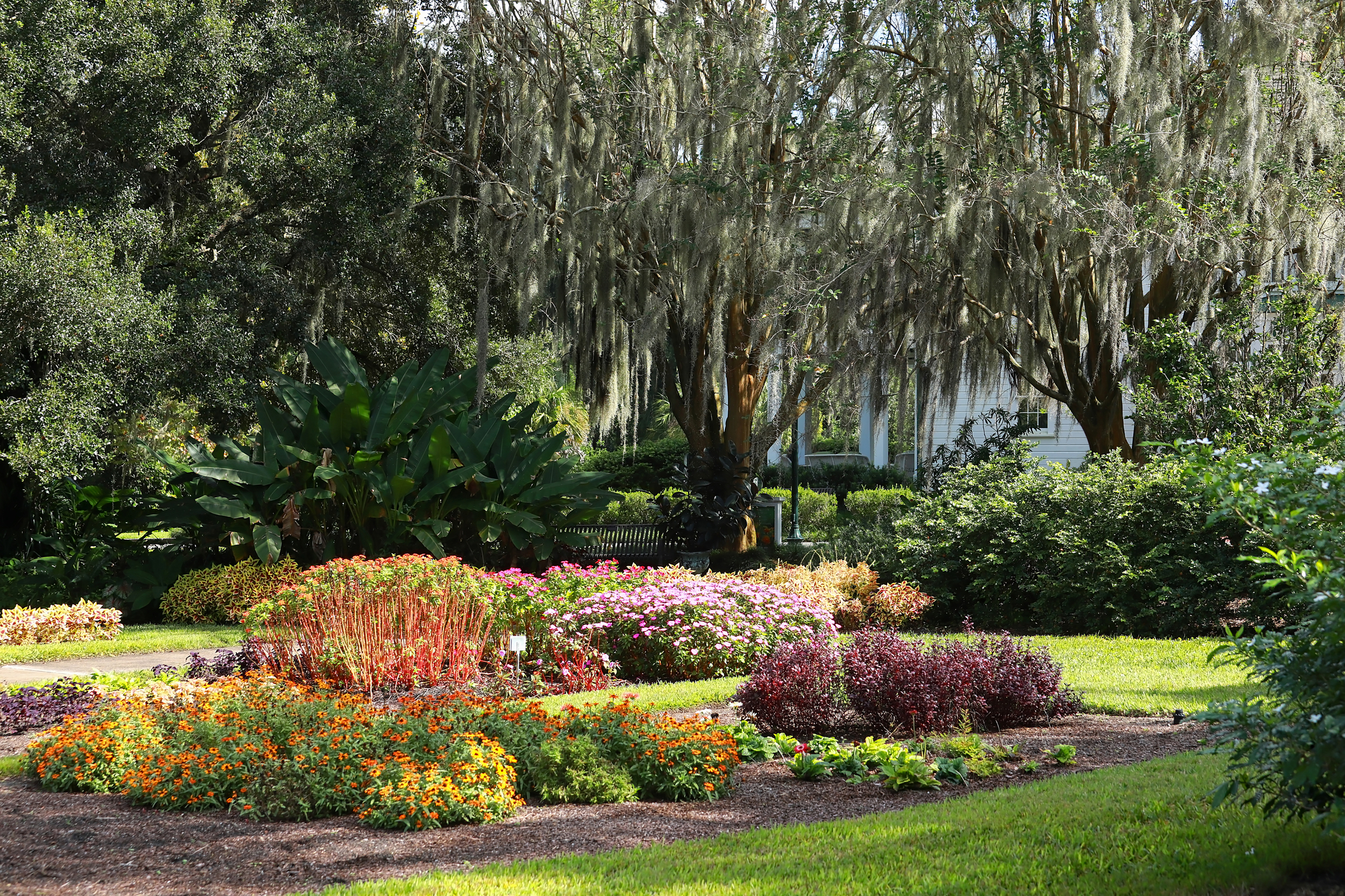 Harry P. Leu Gardens