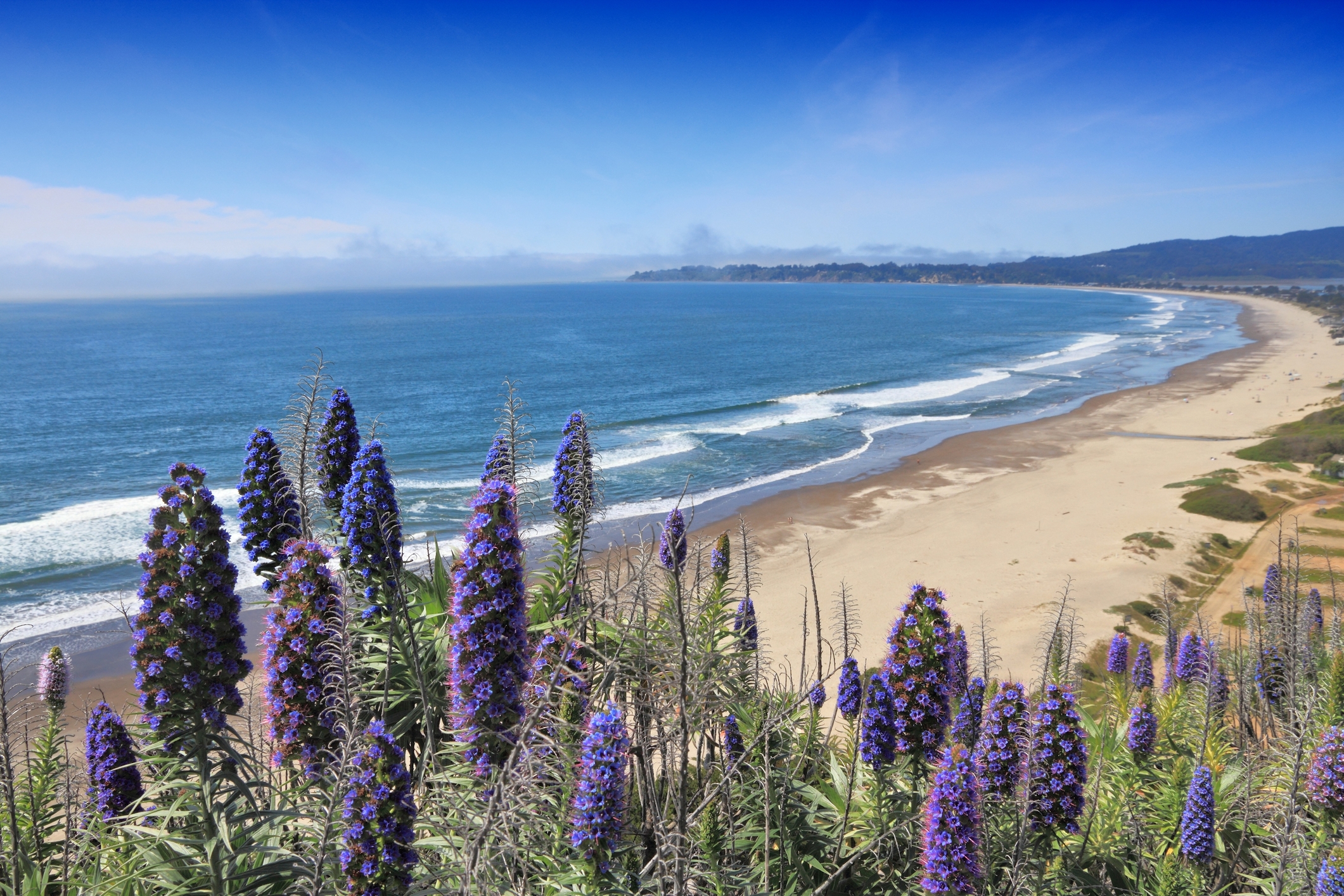 Stinson Beach, California