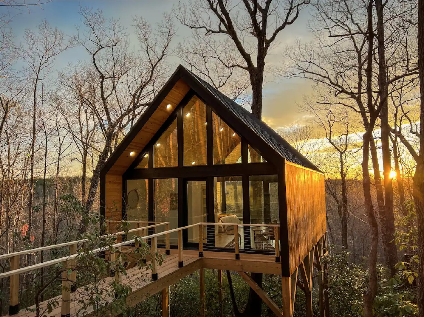 The Forestry House A modern luxury treehouse