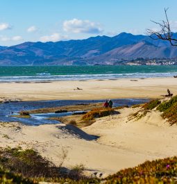 beautiful stretch of beach with waves and the mountains