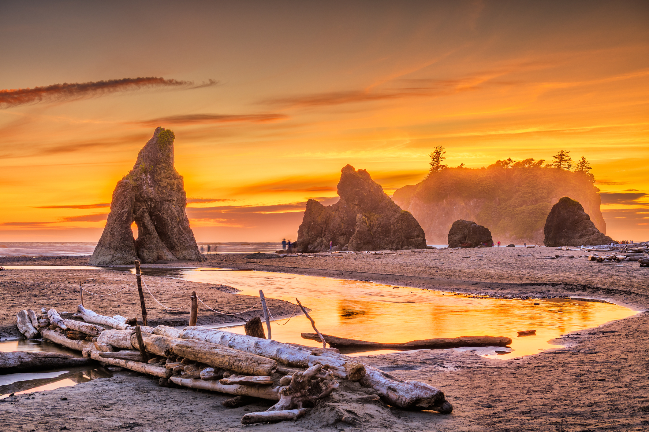 Olympic National Park, Washington