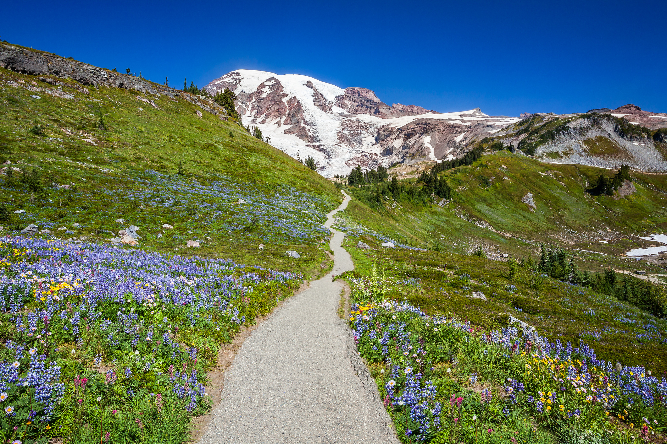 Mount Rainer National Park, Washington