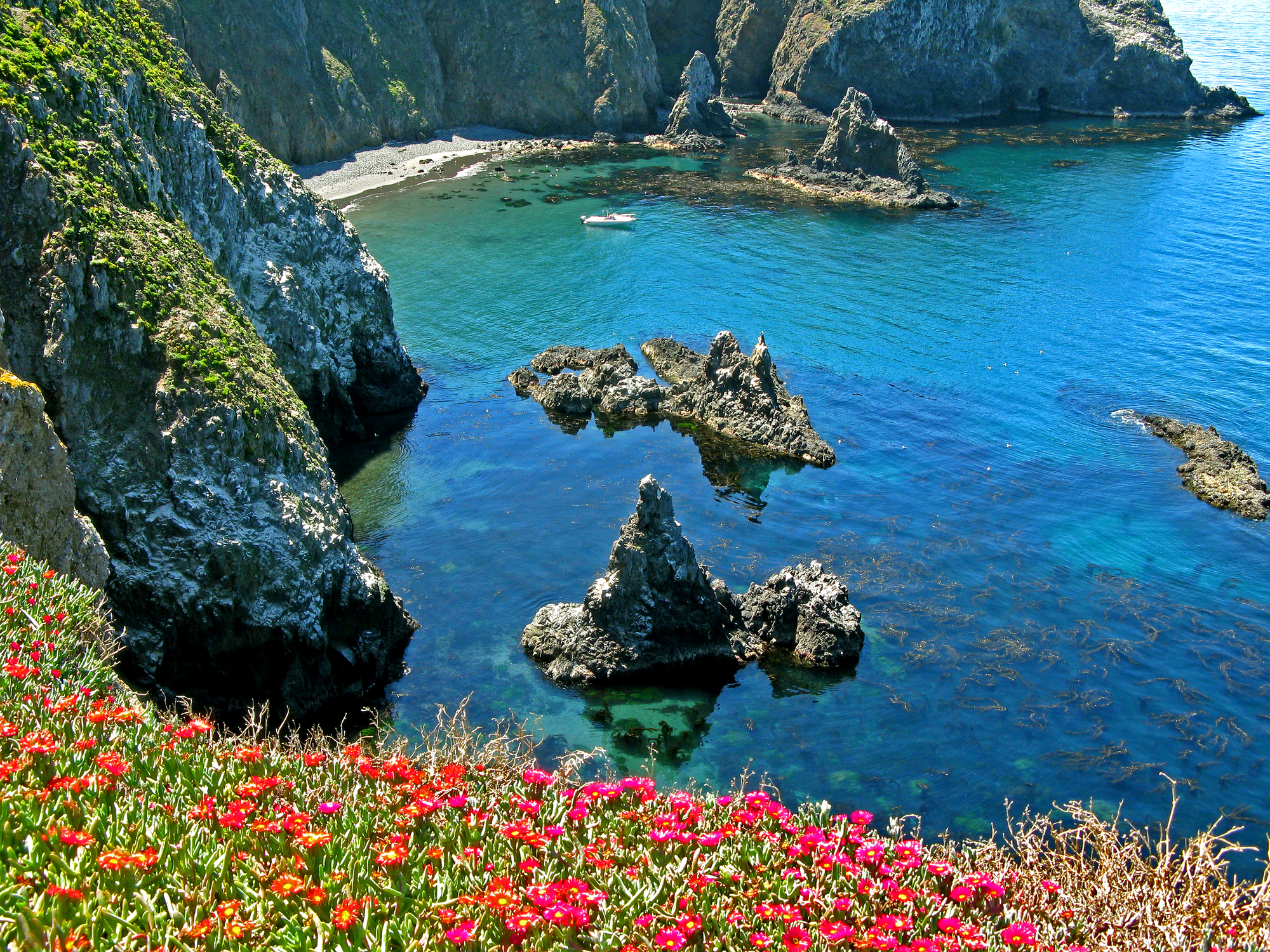 Anacapa Island, Channel Islands National Park, California