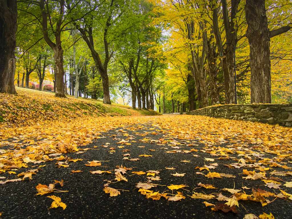 Fall in Manchester, Vermont