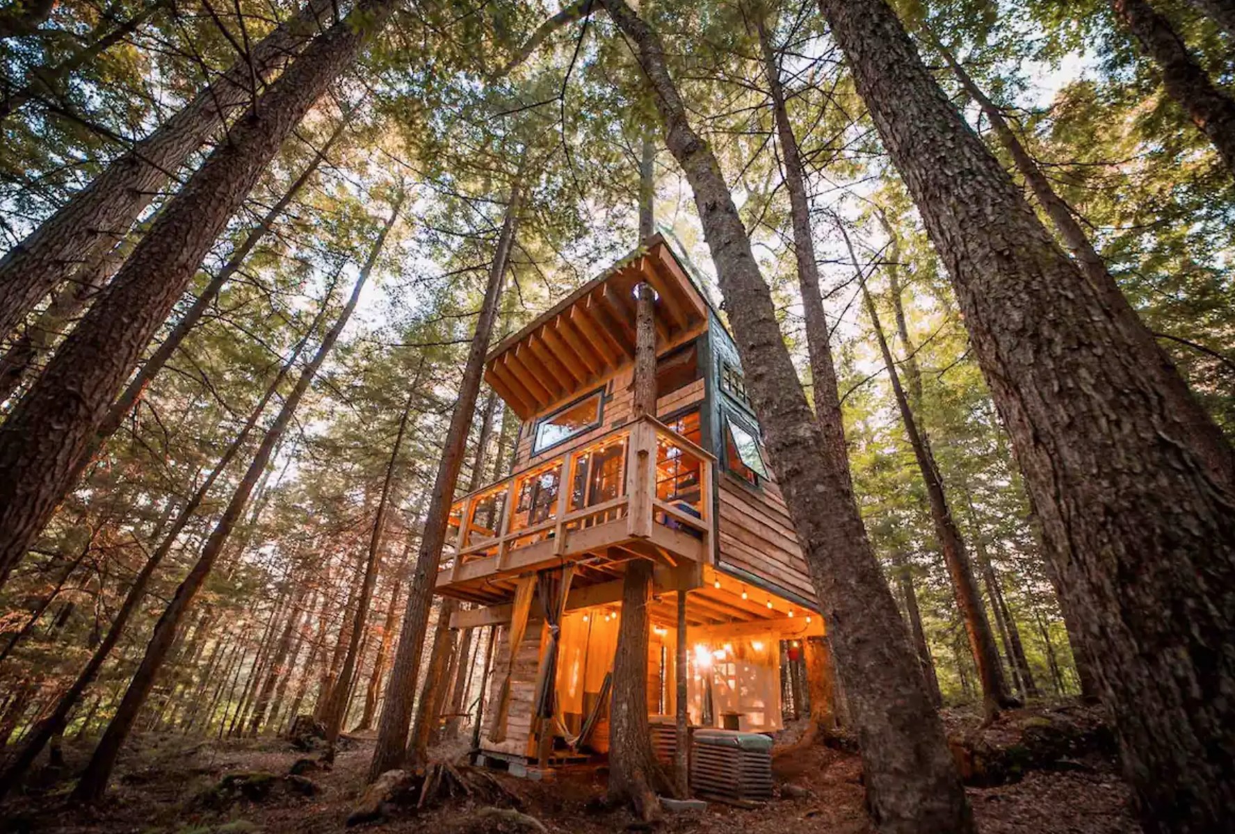 Lovely Treehouse in the Woods