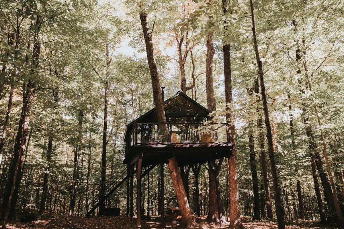 Live like a bird in the trees for a romantic escape