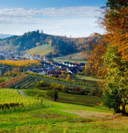 beautiful autumn scene in the Black Forest