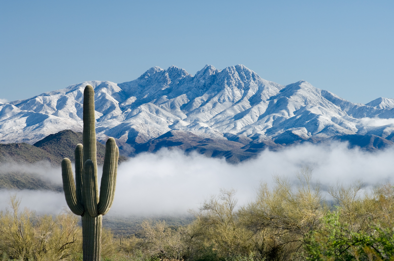 Saguaro and Four Peaks