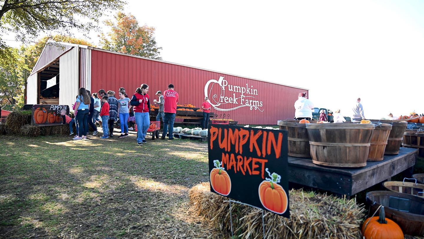 Pumpkin Creek Farms