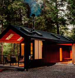 View of a cabin in the forest