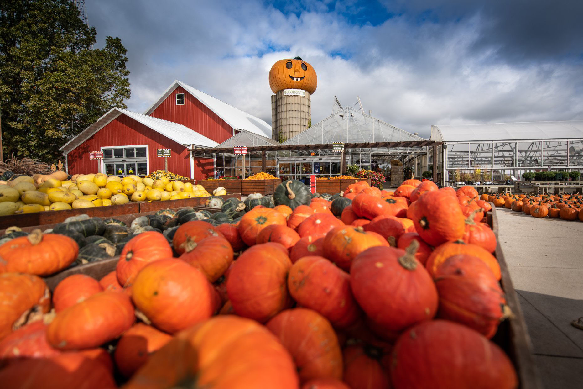 Lots of fall festival attractions to see