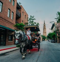 Carriage ride in Charleston