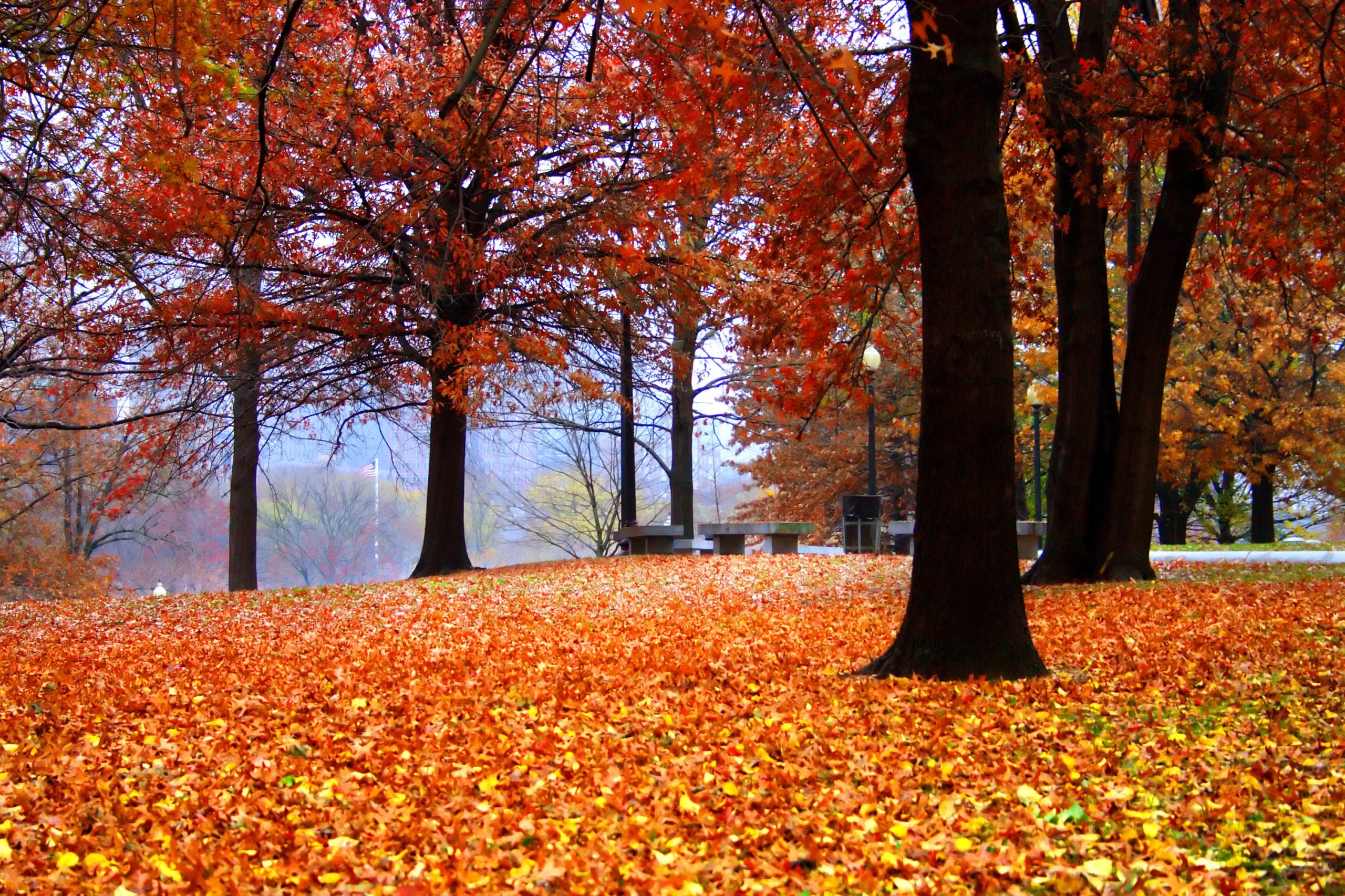 Public Garden in Boston, Massachusetts