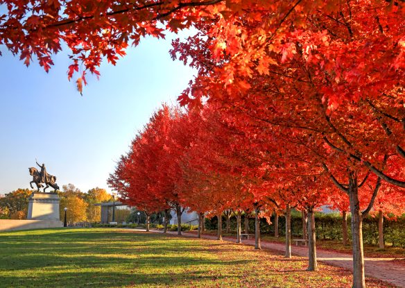 Fall foliage around the Apotheosis of St. Louis statue of King Louis IX of France in Forest Park, St. Louis, Missouri.