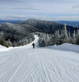 ski slope lined with trees