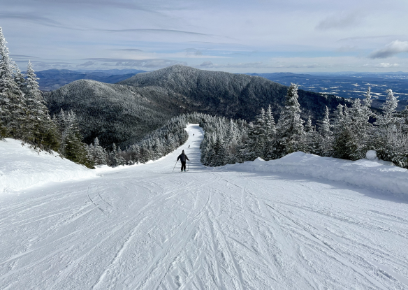 ski slope lined with trees