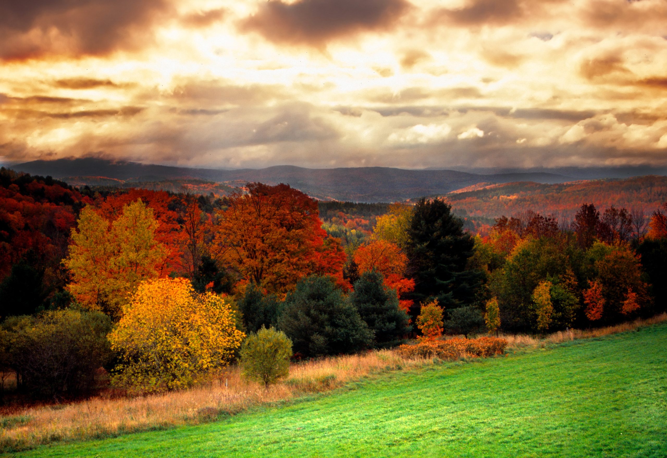 Vermont Hillside