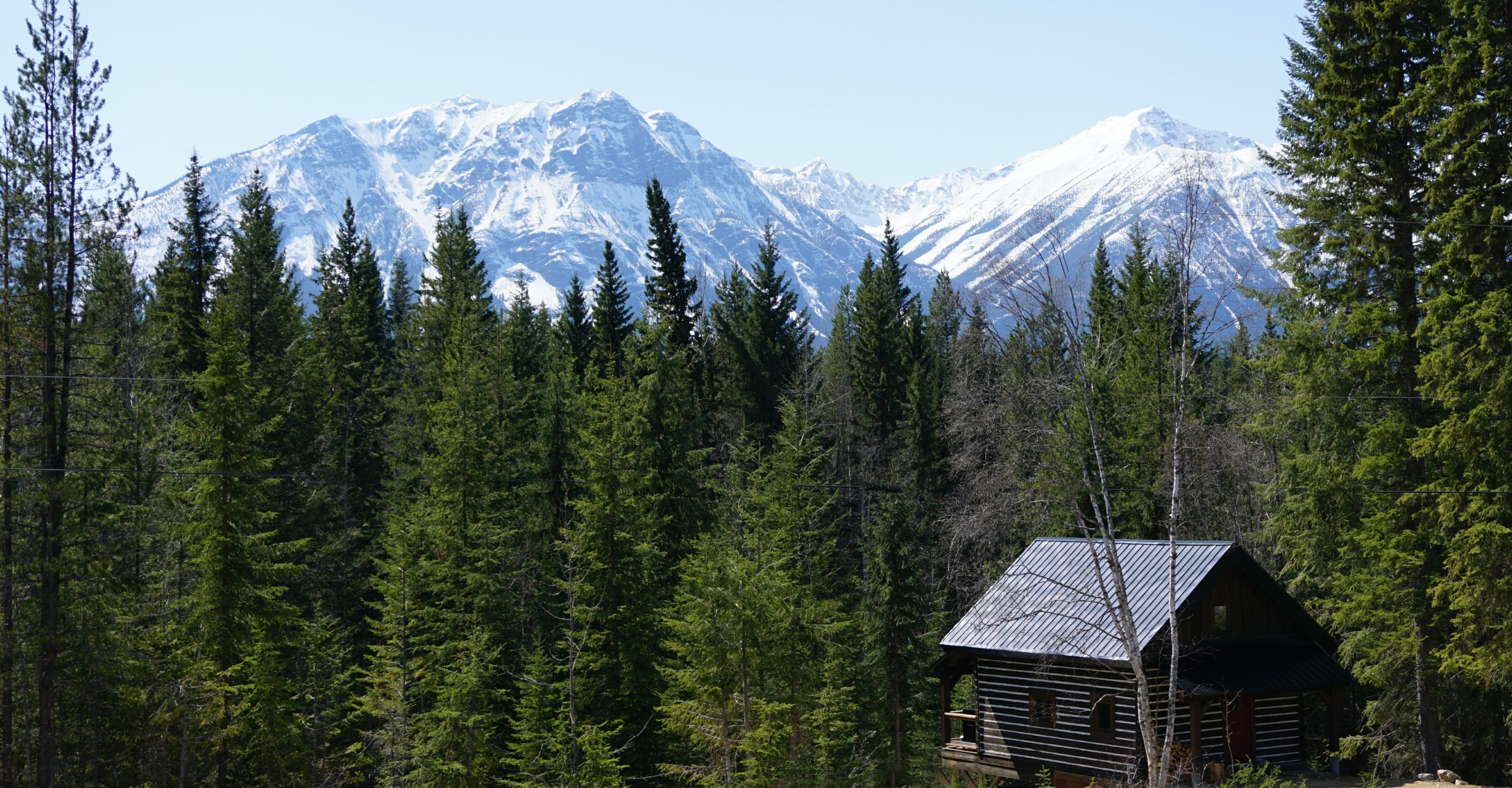 Bison Cabin Dovetail Log Mountain Life Getaway