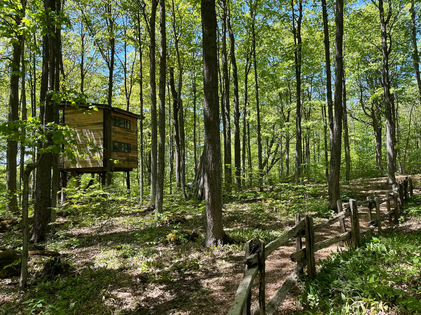 Treetop Retreat