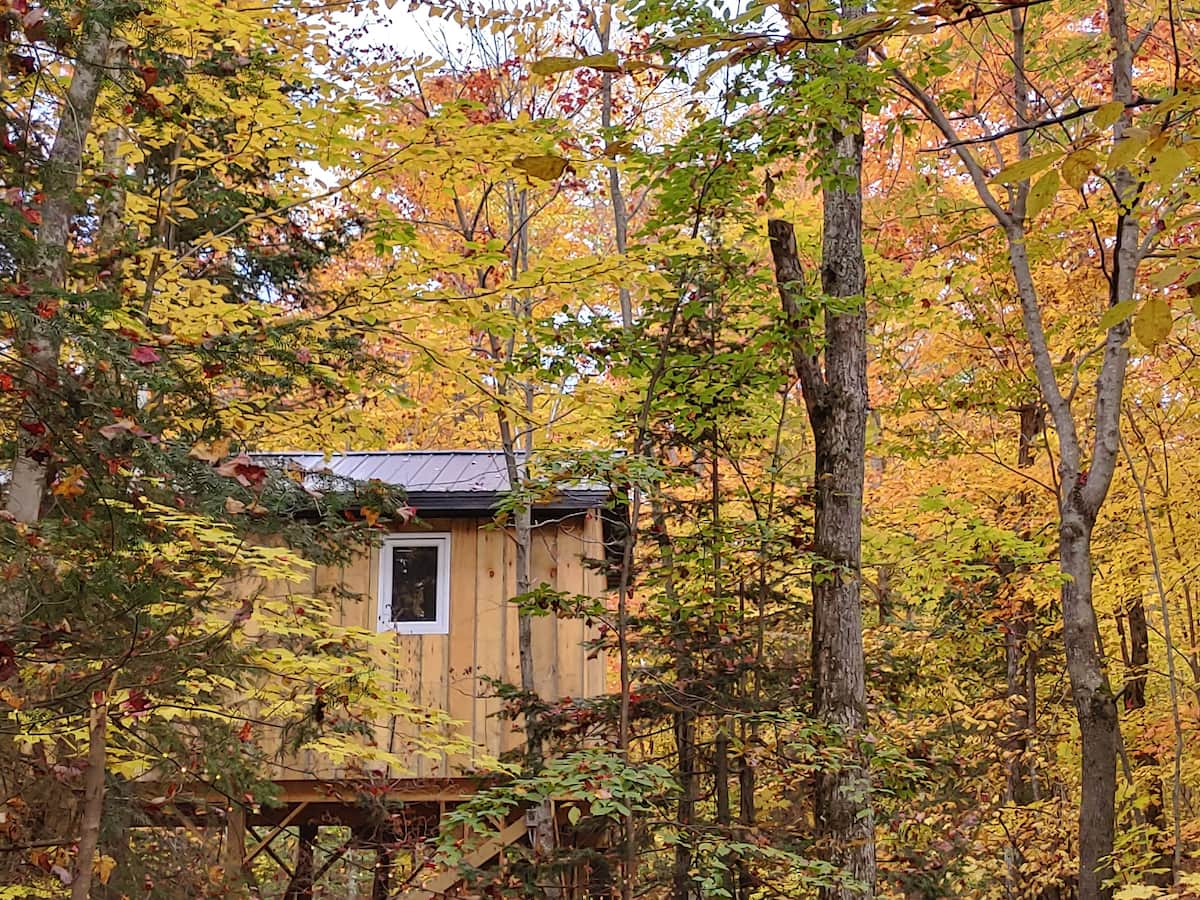 Lount Treetop Rental