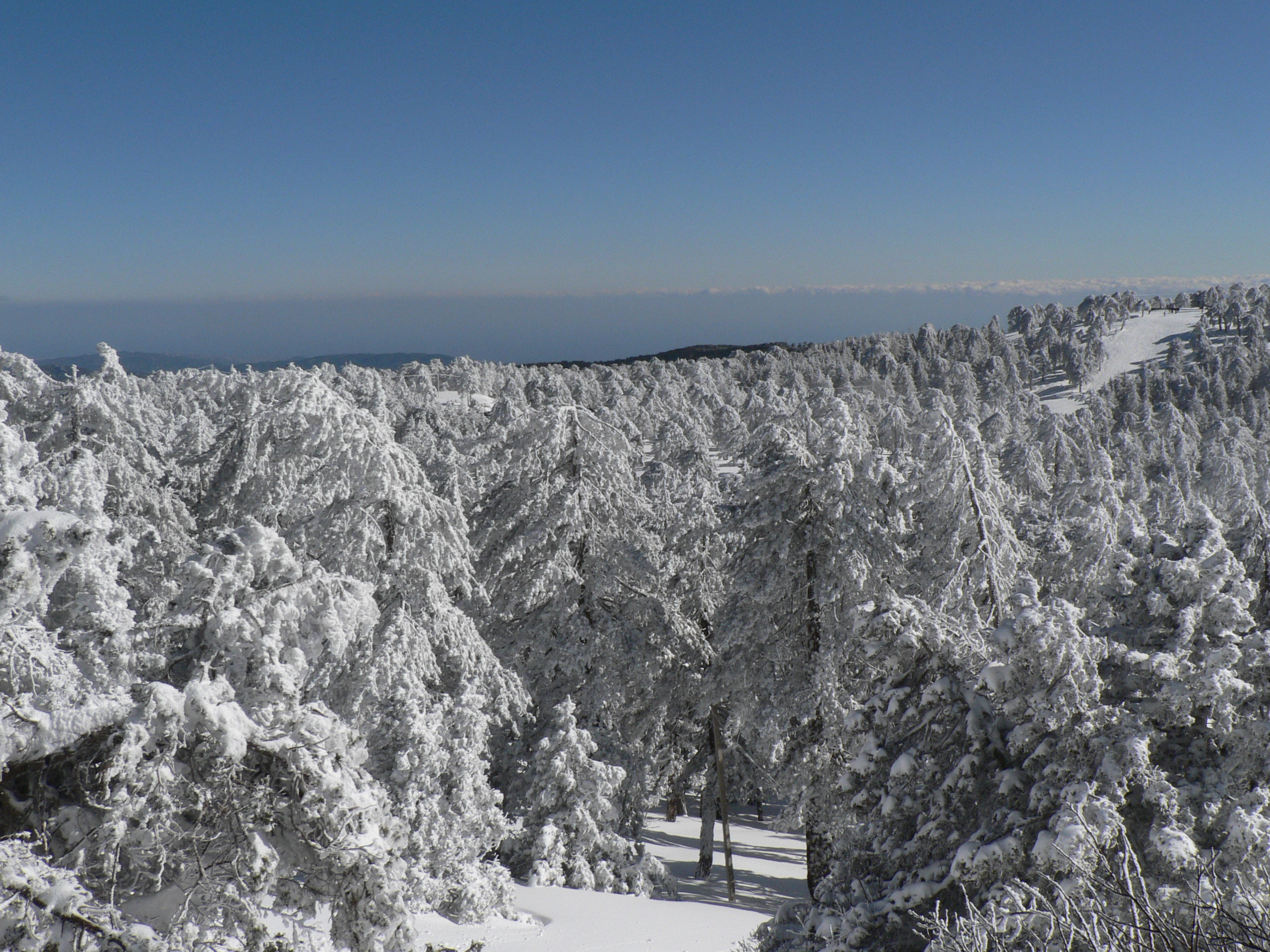 Troodos Mountains