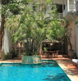 Square pool with greenery backdrop