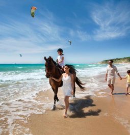 Children and horse on beach